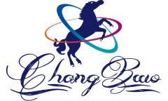 長鎰長博汽車進口商