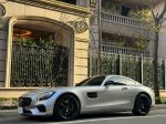 2016年式 AMG GT 日規 水箱罩 ...