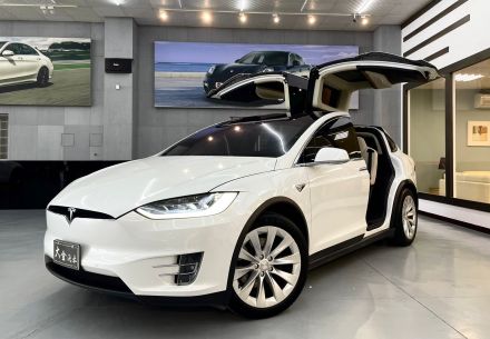 Tesla/Model X  2019款 1.1L以下