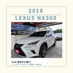 LEXUS  NX300白色