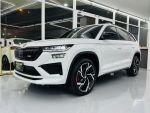 2024 KODIAQ RS 原鈑 原漆 大棕熊