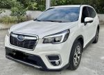 低付7700增貸9-29萬CRVRAV4KUG...