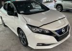 2019 Leaf 電動小車快來詢問~...