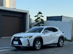 2020 Lexus UX 250h豪華版 漂...