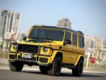 丞特車業 總代理 BENZ AMG G63...