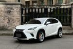 2018/19  Lexus Nx300 原鈑件 原廠保養 僅跑5.5萬km