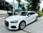 ACC，車道置中，盲點偵測，塞車輔助...