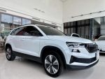 鴻騏 2024 Skoda 小改款 Karoq 1.5 TSI新雪山版 僅跑七千