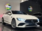 【瑋哲-德國萊因-GT】23P、柏...
