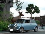 收藏車 1990 Mini Austin 復古方向盤 史密斯錶里程不可考