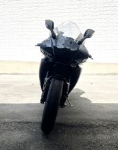  自售 2024領牌一手車 原廠原漆~完好無痕~割愛價 惜售