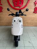 -圖片1