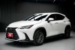 熱銷跨界休旅尊榮P版~新車保固...