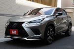 台南小林-NX300 2.0渦輪 F-spo...