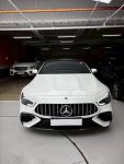 AMG Dynamic Plus 23P 抬頭 多...