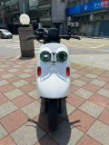 -圖片3