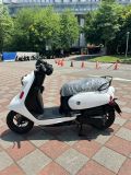 -圖片5