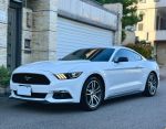 Mustang 野馬 2.3渦輪增壓 大馬力  雙色內裝 冷熱通風座椅 可全貸