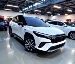 小薇知道撥100萬資金