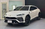 2019年出廠 Lamborghini Urus ...